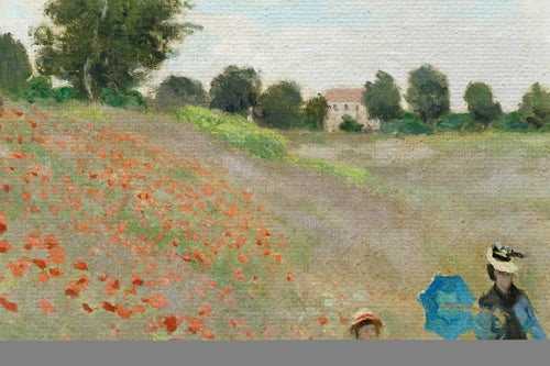 Canvas 60x40 Afdruk Veld met Klaprozen