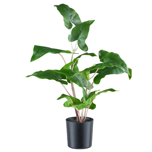 Flourify kunstplant - Colocasia esculenta - 50 cm