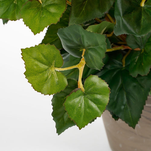 Mica Decorations Begonia Kunstplant in Bloempot Stan - H37 x Ø36 cm - Zalmroze