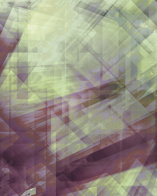 Sanders & Sanders fotobehang 3D groen en paars - 200 x 250 cm - 611914