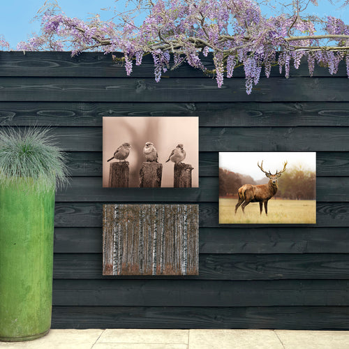 Art for the Home Buitencanvas - Vroege Vogels - Sepia - 50x70cm - vtwonen shop