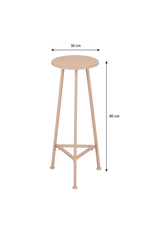 Mica Decorations Adine Plantentafel - H80 x Ø30 cm - Metaal - Lichtroze