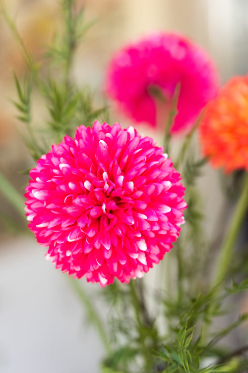 J-Line bloem Chrysant - kunststof - roze