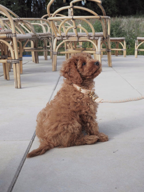 OYOY Halsband Perry - leder - vtwonen shop