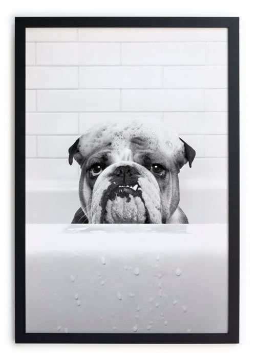 Zwarte lijst met kader 40x30 Bulldog in het bad - vtwonen shop