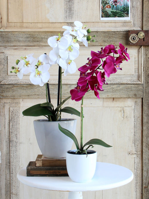Mica Decorations Phalaenopsis Kunstplant in Bloempot Tusca - H60 x Ø16 cm - Paars