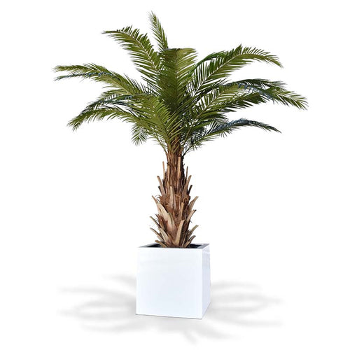 Maxifleur Phoenix Canarie kunstpalm XXL op voet 300cm