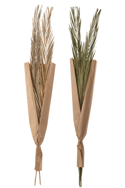 J-Line droogbloemen - Bladeren Khajur - groen - 2 stuks - vtwonen shop