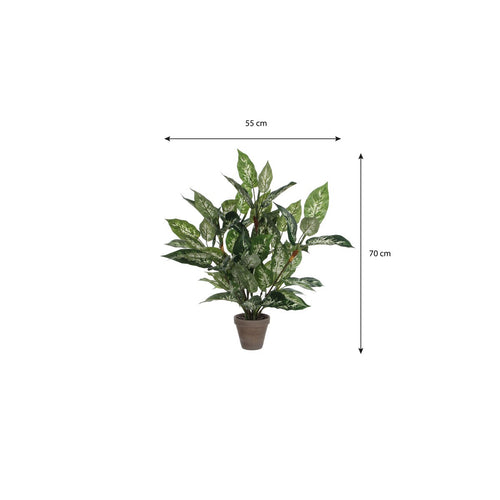 Mica Decorations Dieffenbachia Kunstplant in Bloempot Stan - H70 x Ø55 cm - Groen