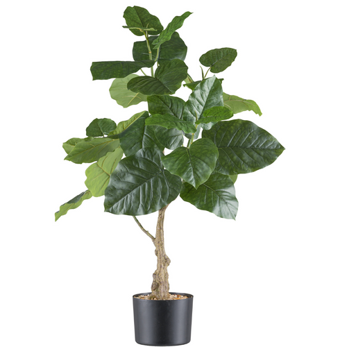 Flourify kunstplant - Ficus petiolaris - 85 cm
