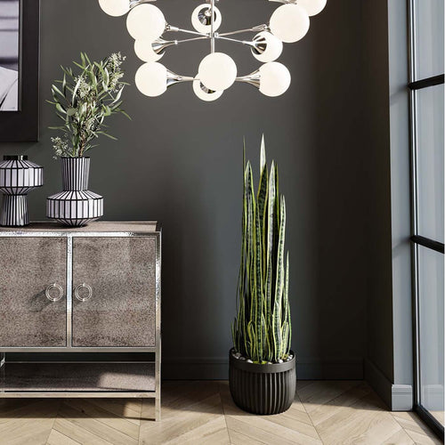 Kare Design Kunstplanten - Sansevieria - 155cm