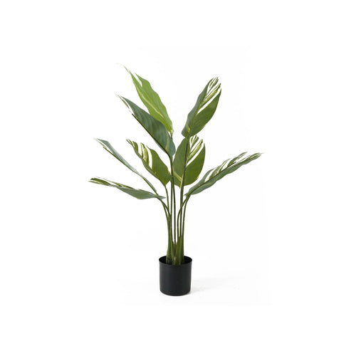 Present Time kunstplant Calathea - groen - 63x63x90cm - vtwonen shop