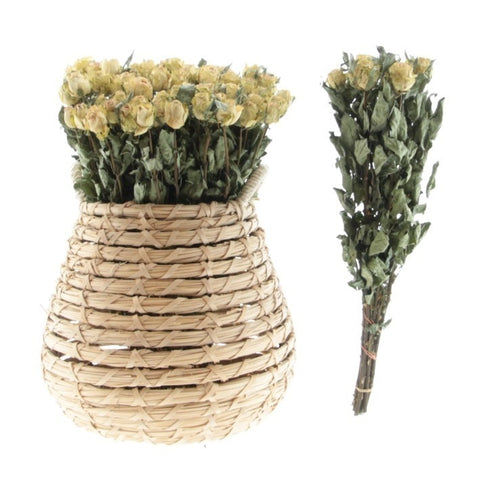 My Flowers.shop Tien gedroogde groen-witte rozen | Lengte 50 centimeter | Per bos te bestellen - vtwonen shop