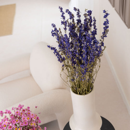 My Flowers.shop Blauw gedroogde Ridderspoor | Blauwe Delphinium droogbloemen | Lengte ± 70 centimeter | Per bos - vtwonen shop