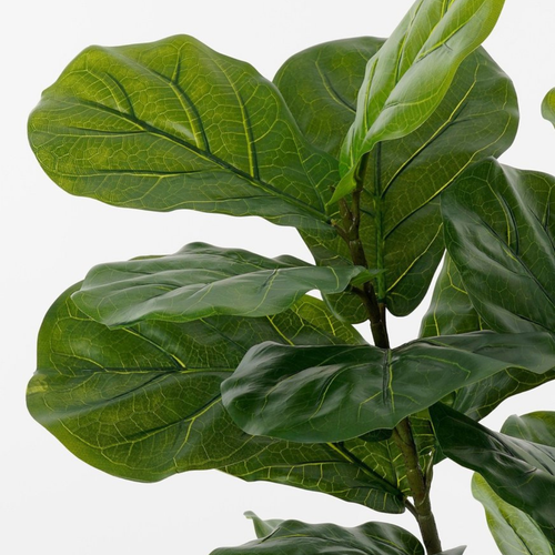 Mica Decorations Ficus Lyrata Kunstplant - Kunststof Kamerplant in Zwarte Pot - Water- en UV Bestendig voor Binnen en Buiten - Onderhoudsvrij