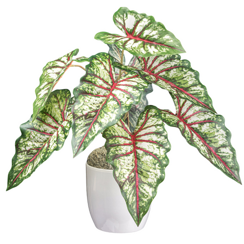 Flourify kunstplant - Syngonium - 66 cm