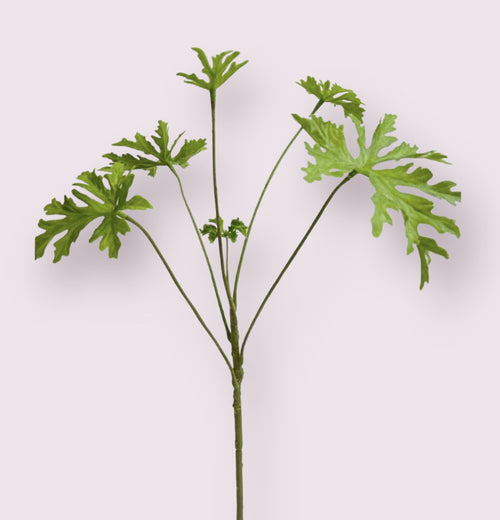 My Flowers.shop Groene geranium zijden bloem | Lengte 61 centimeter | Per stuk - vtwonen shop