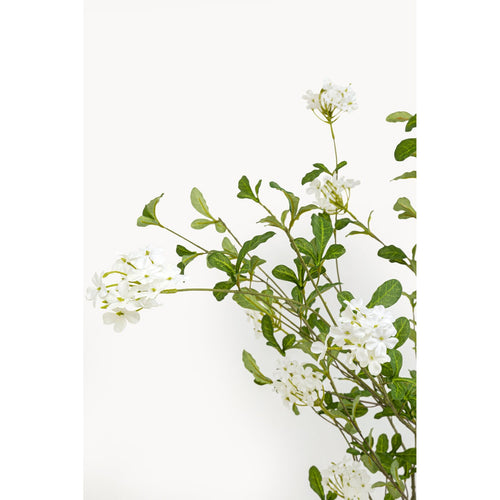 Kare Design Decoratie plant Plumbago 152cm - vtwonen shop