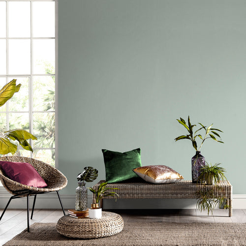 Graham & Brown Magnol - Matte Muurverf - 4L - vtwonen shop