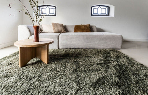 Interieur05 vloerkleed Fender - groen - 240 x 330 cm