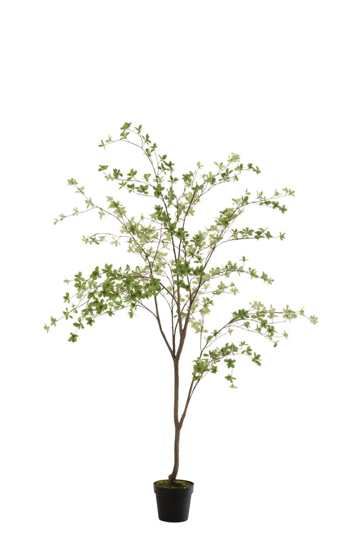 J-Line plant Fijne Blaadjes - kunststof - groen/zwart
