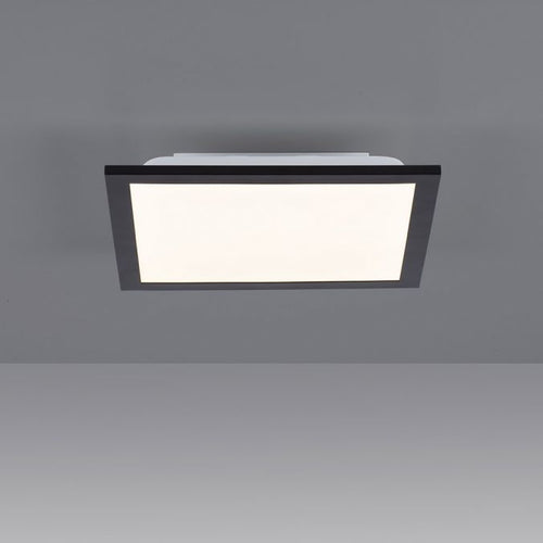 Paul Neuhaus plafondlamp Flat - 1 lichts - 29.5  x 5.8   cm - zwart - vtwonen shop