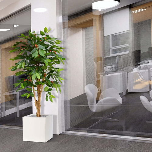 Maxifleur Coffee Arabica kunstplant deluxe 150cm N