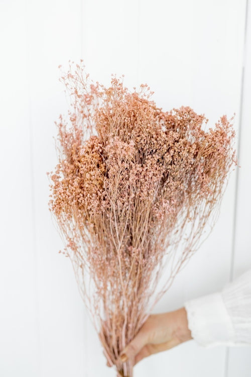 My Flowers.shop Zacht roze gedroogde Brem | Zacht roze Broom Bloom droogbloemen | Lengte ± 60 cm | Per bos - vtwonen shop