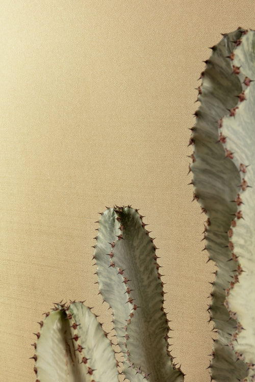 Masureel behang effen zand beige - 53 cm x 10.05 m - 630554 - vtwonen shop