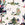 Joules Vliesbehang - Mono Farm Green - 1005x52