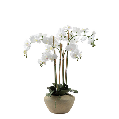 Sia Deco Orchidee Compositie Kunstmatig - wit - H86 - vtwonen shop