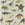 Sanders & Sanders behang dinosaurussen vergrijsd groen - 50 x 900 cm - 935367