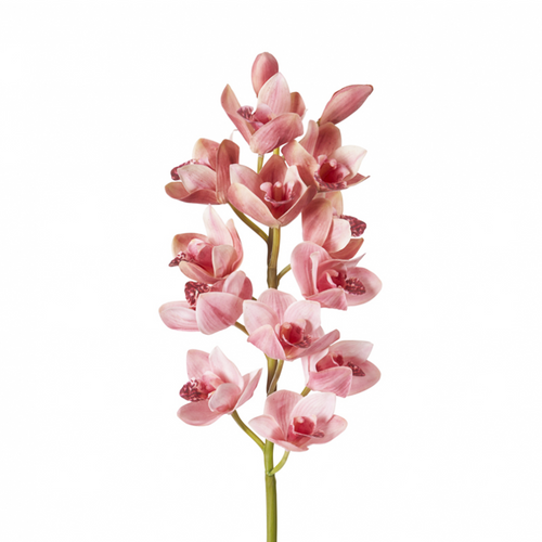 Sia Deco Kunstmatige Cymbidium Orchidee Stengel - Roze - H100 - vtwonen shop