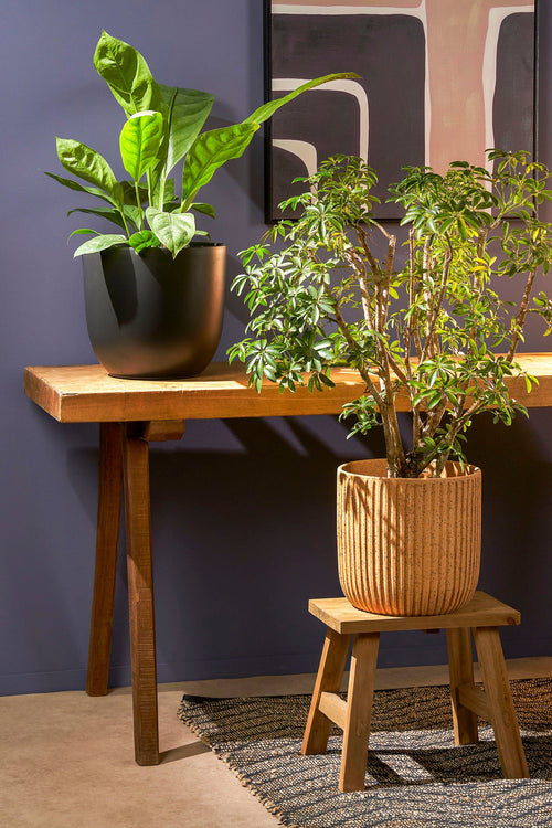 Mica Decorations Bold Houten Krukje - L38 x B29 x H34 cm - Gerecycled Hout - Bruin - vtwonen shop