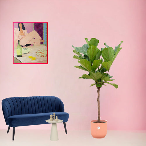 Trendyplants - Ficus Lyrata stam inclusief elho Vibes Fold Round roze - 160 cm - Ø30cm - vtwonen shop