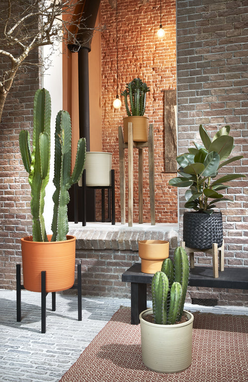 Mica Decorations Ascot Plantenstandaard XL - L46 x B46 x H40 cm - Metaal - Zwart