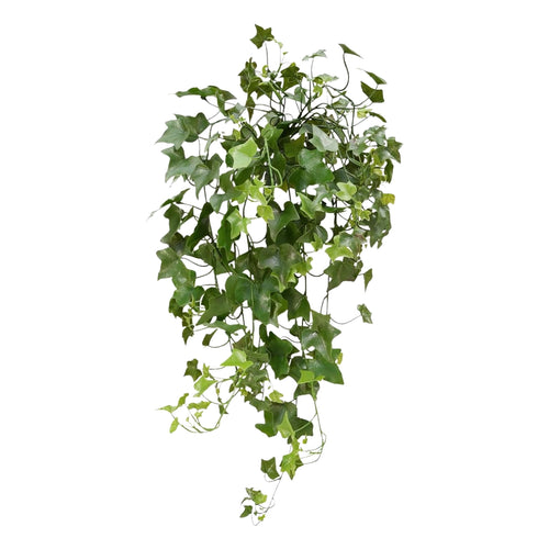 Maxifleur Hedera kunst hangplant 65cm - UV bestendig