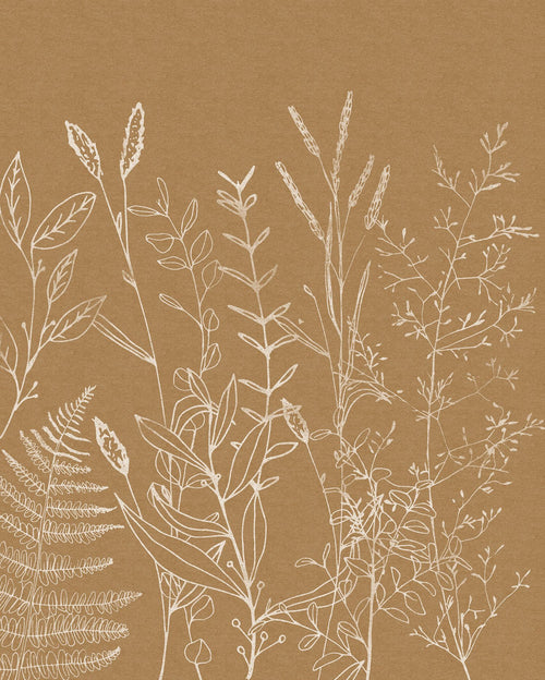 Komar fotobehang Herbs Garden beige - 200 x 250 cm - 611184