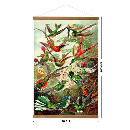 Art for the Home Hangende Poster Linnen - Hummingbirds - 80x60cm - vtwonen shop