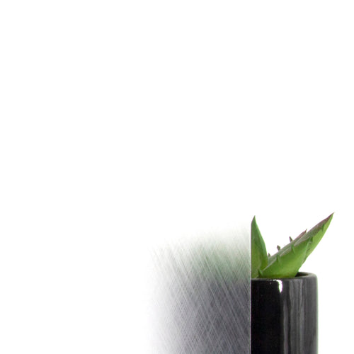 d-c-fix Premium Statische Raamfolie - Ilva - 150x67,5 cm - vtwonen shop