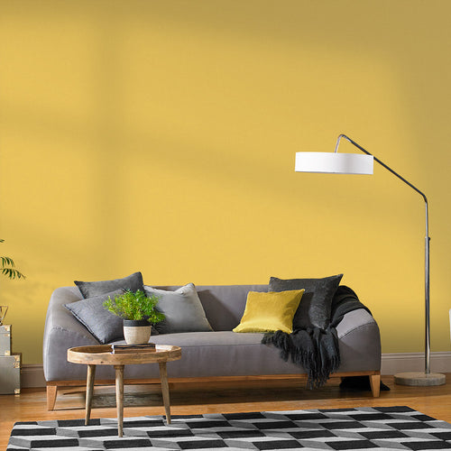 Graham & Brown Sunflower - Matte Muurverf Afneembaar - 4L