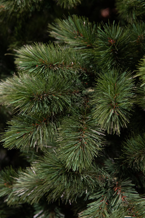 Triumph Tree Camden Kerstkrans - Ø45 cm - Groen - vtwonen shop