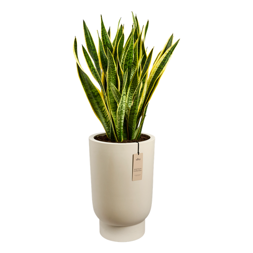 elho amber grail high 30 linnen wit | planter | Geschikt voor binnen en buiten