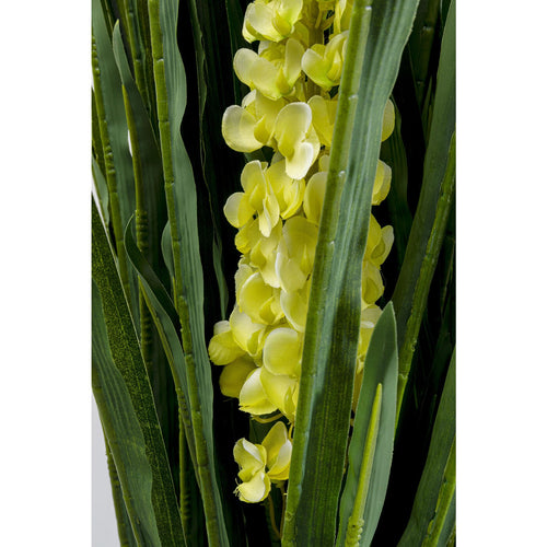 Kare Design Kunstplanten - Rhynchostylis - 150cm