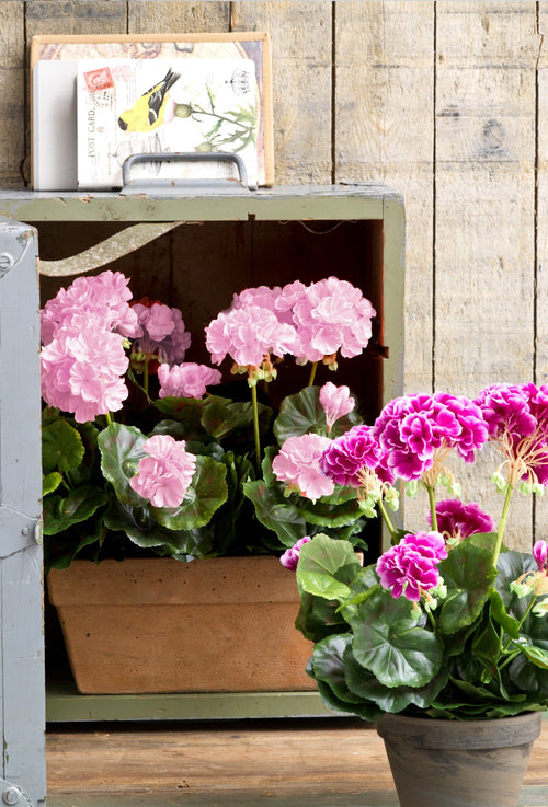 Mica Decorations Geranium Kunstplant in Balkonbak - L29 x B13 x H40 cm - Roze - vtwonen shop