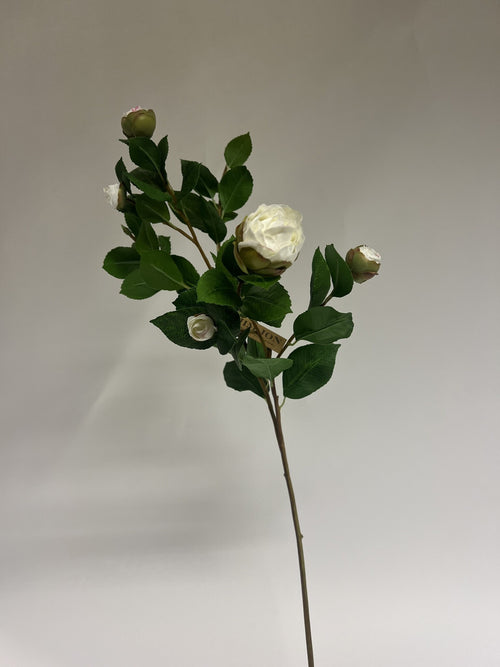 My Flowers.shop Witte camelia in knop zijden bloem | Lengte 70 centimeter | Per stuk - vtwonen shop