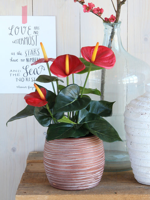 Mica Decorations Anthurium Kunstplant in Bloempot Stan - H38 x Ø30 cm - Rood