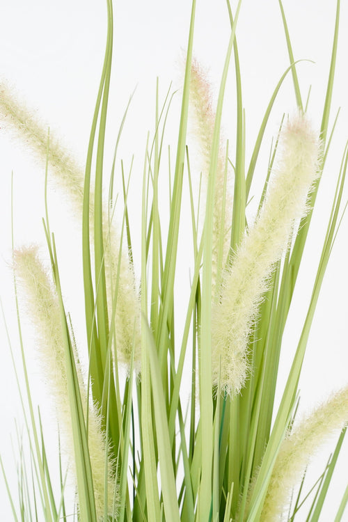Mica Decorations Dogtail Gras Kunstplant - H53 x Ø30 cm - Groen