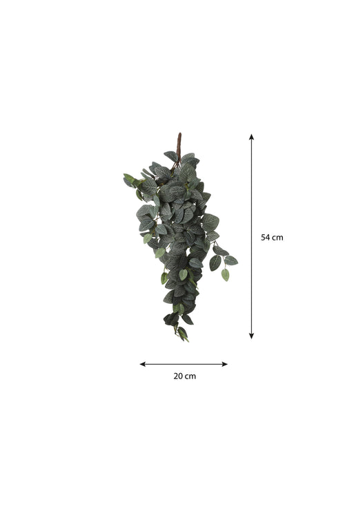 Mica Decorations Fittonia Kunst Hangplant - L15 x B20 x H54 cm - Groen
