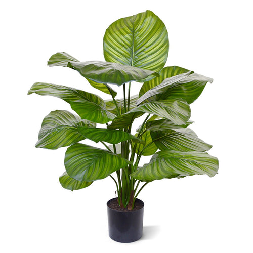 Maxifleur Calathea Fasciata kunstplant 70cm